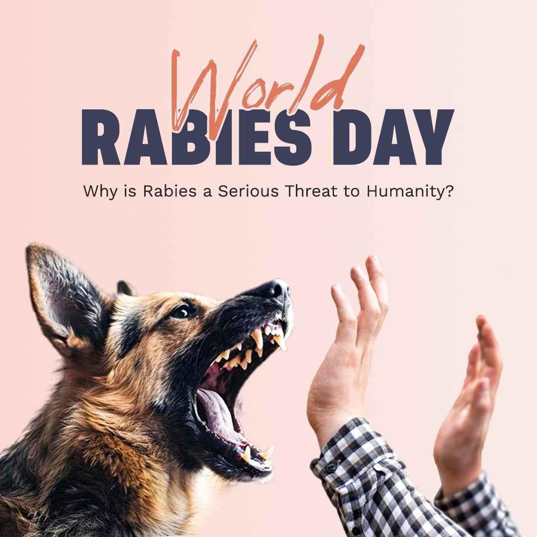 Aggressive German Shepherd dog snarling with open mouth showing teeth, human hands raised in defense, World Rabies Day message
