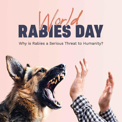 Aggressive German Shepherd dog snarling with open mouth showing teeth, human hands raised in defense, World Rabies Day message