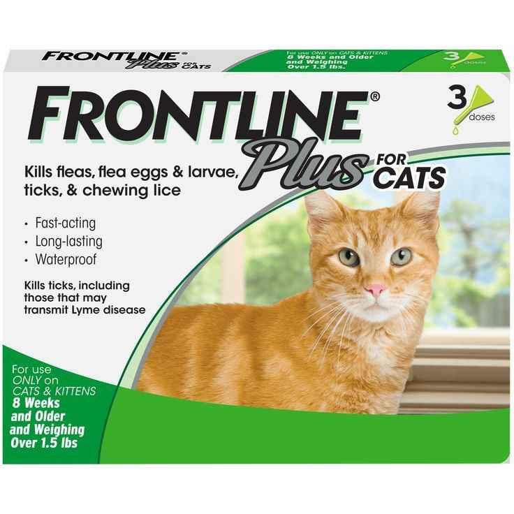 Frontline Plus for Cats flea and tick treatment box with orange tabby cat image
