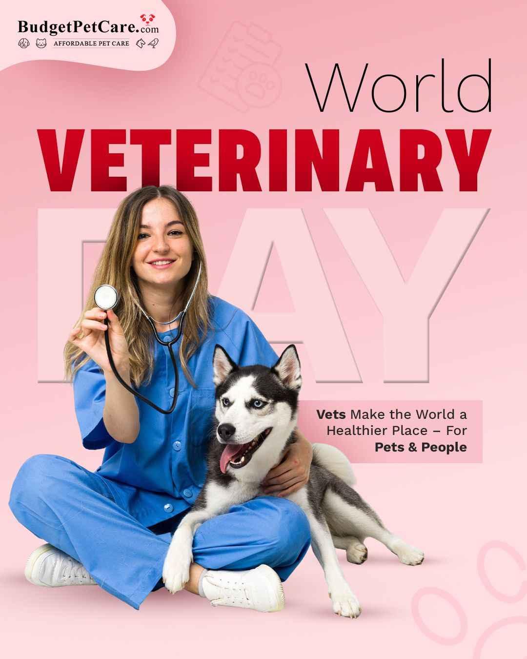 Female veterinarian in blue scrubs with a husky dog holding a stethoscope celebrating World Veterinary Day