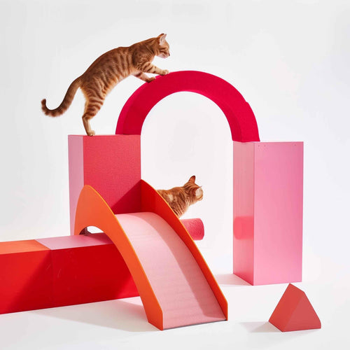 Two ginger tabby cats playing on red and pink geometric cat playground with a slide